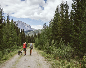 Rear view of people walking with dog on pathway amidst trees at mt assiniboine