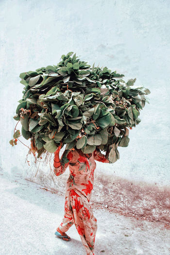 Rear view of woman with flower pile on head standing against wall