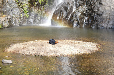 Scenic view of waterfall