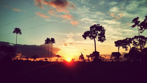 Silhouette trees on field against sky during sunset