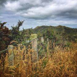 Scenic view of landscape against cloudy sky