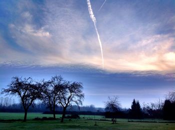 Trees on field against sky at sunset