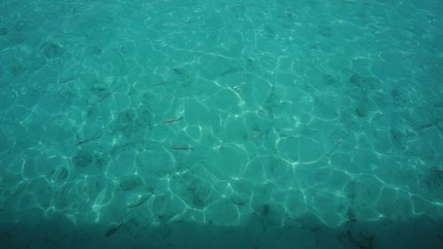 Full frame shot of water