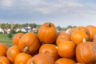 Close-up of pumpkins on field against sky during autumn