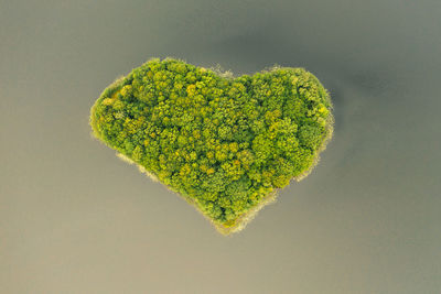 Aerial view over an island. the island is formed as a green heart.