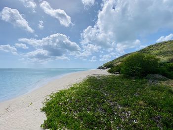 Scenic view of beach against sky