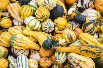 Full frame shot of pumpkins in market