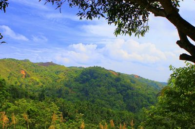 Scenic view of landscape against cloudy sky