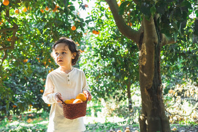 A little boy is holding a basket of bright oranges in his hands.