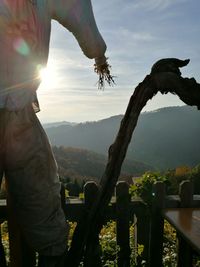 Close-up of man standing by tree against sky