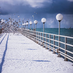 White birds by sea against sky during winter