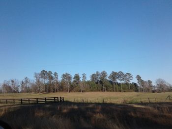 Scenic view of farm against clear blue sky