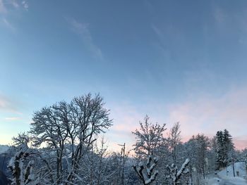 Bare trees on snow covered land against sky