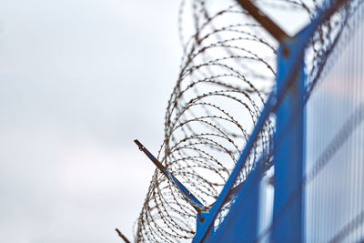 Barbed wire on blue fence of restricted area. no unauthorized entry. new fence of military border