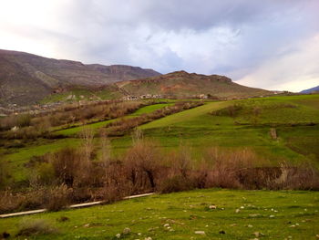 Scenic view of landscape against sky