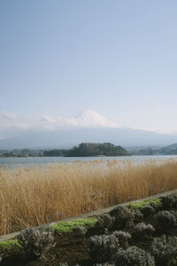 Scenic view of land against sky