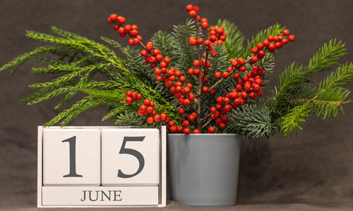 Close-up of red berries on plant