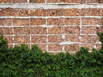 Full frame shot of brick wall