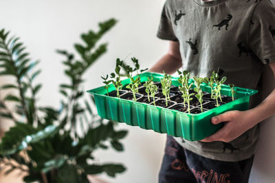 A large container with sprouted green peas in the boy's hands.