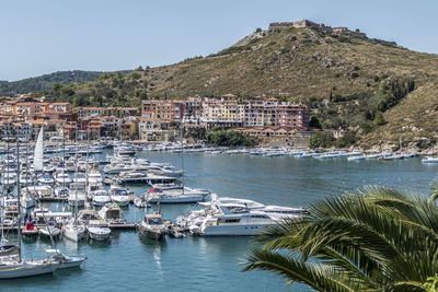 Sailboats moored in sea against buildings