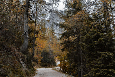 Female hiker