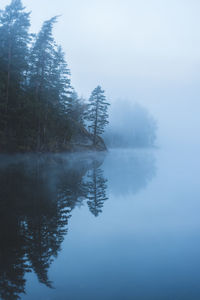 Reflection of trees in calm lake in foggy weather