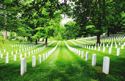 Tombstone at arlington national cemetery