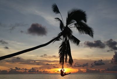 Silhouette man hanging from palm tree at beach during sunset