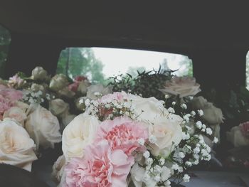 Close-up of flowers