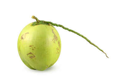 Close-up of fruit against white background