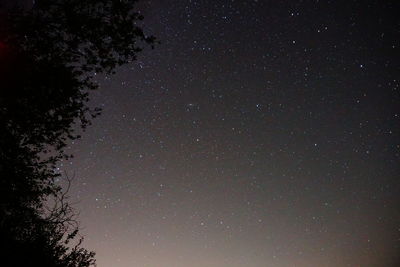 Low angle view of stars against sky at night