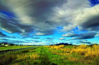 Scenic view of field against sky