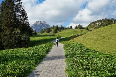 Rear view of person on footpath amidst grass against sky