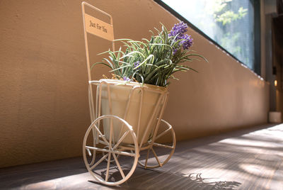 Close-up of potted plant