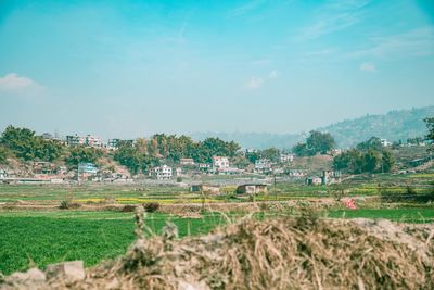 Scenic view of agricultural field against sky