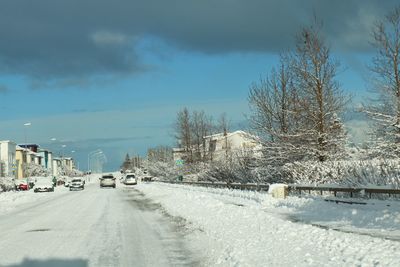 Snow covered trees against sky