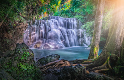 Scenic view of waterfall in forest