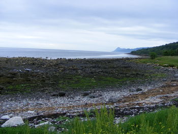 Scenic view of landscape against cloudy sky