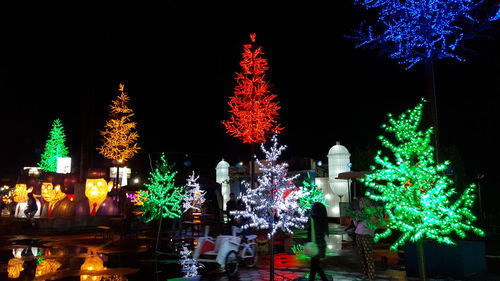 Low angle view of firework display