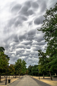 Road amidst trees against cloudy sky