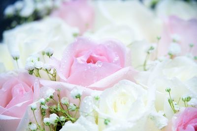 Close-up of rose bouquet