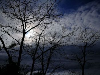 Low angle view of bare trees against sky