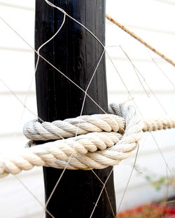 Close-up of rope tied on wooden post