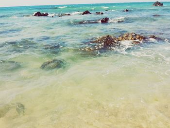 sea