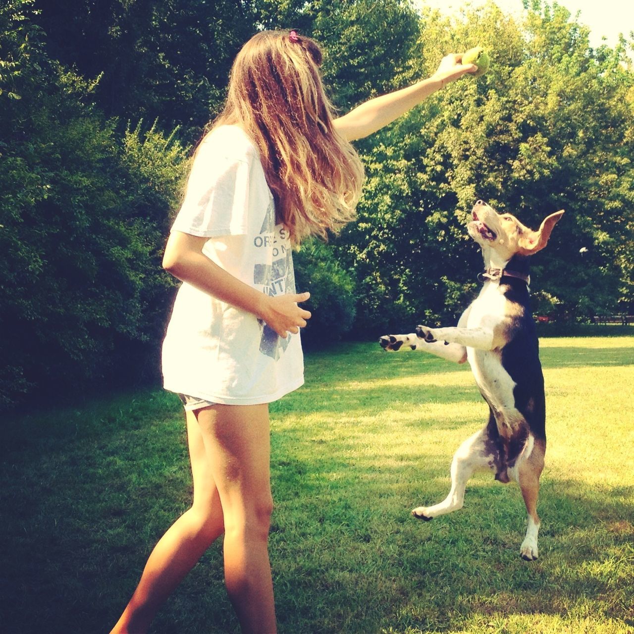 grass, lifestyles, full length, leisure activity, young adult, casual clothing, person, young women, standing, grassy, tree, animal themes, long hair, field, domestic animals, one animal, park - man made space, playing