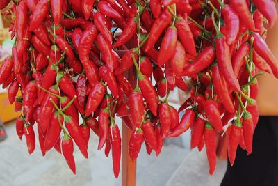 Close-up of red chili peppers