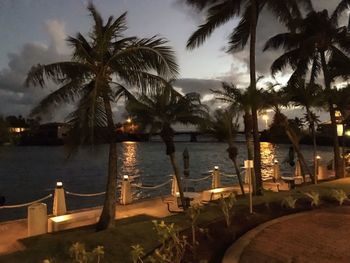 Palm trees by sea against sky