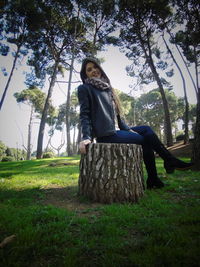 Portrait of woman sitting on tree