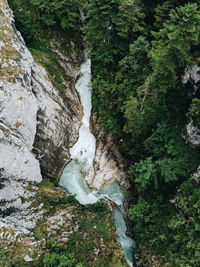 High angle view of waterfall amidst trees in forest