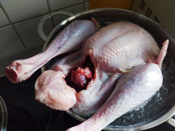 High angle view of fish in container